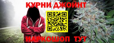гидра Можга