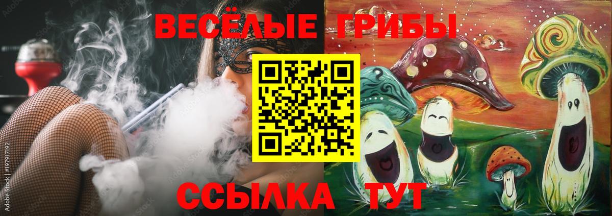 купить наркотики цена  Псилоцибиновые грибы GOLDEN TEACHER  Вход с VPN  Фурманов 